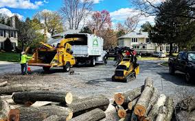 Brookside, DE Tree Services Company